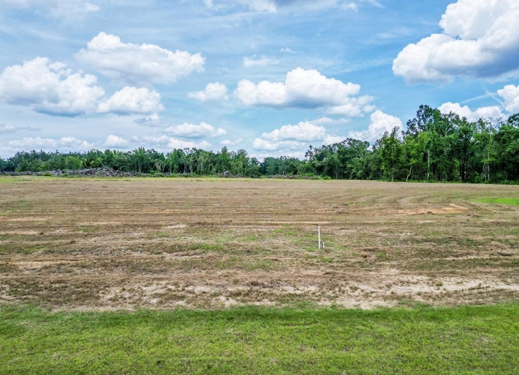 Photo of NEW ALBANY, MS 38652 (MLS # 168009)