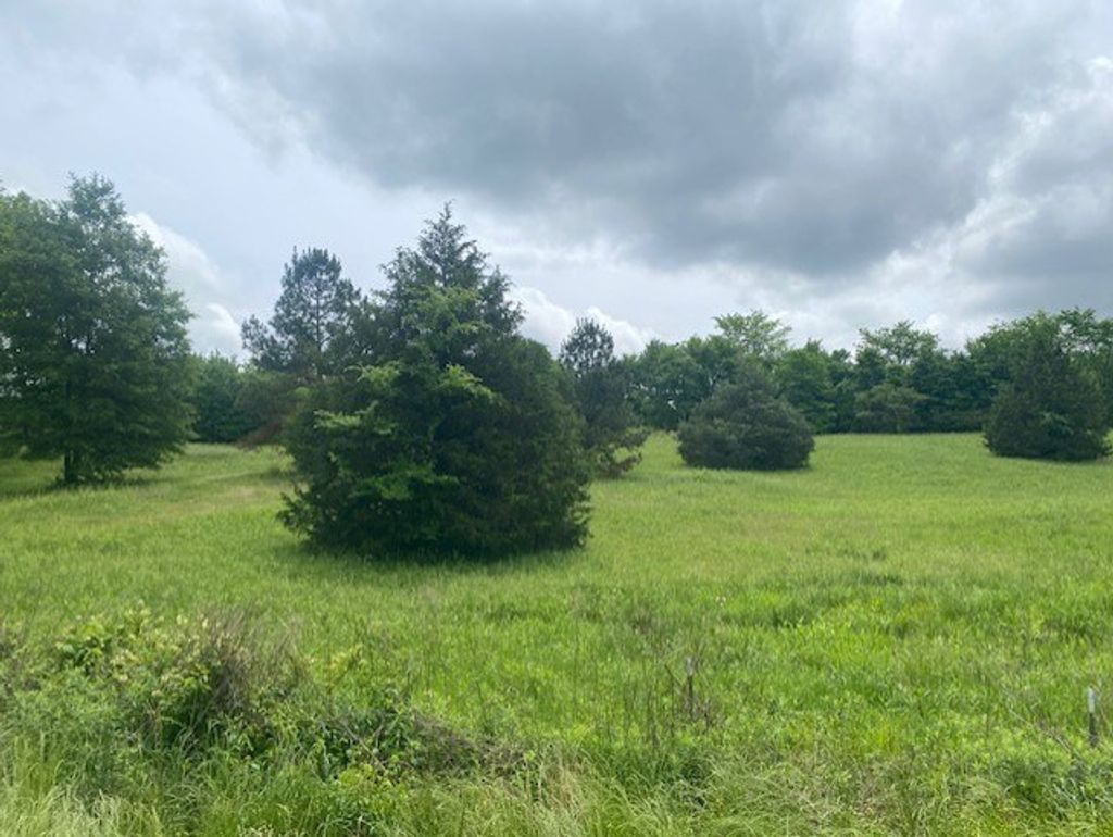 Photo of 0 Peyton Road, COLDWATER, MS 38618 (MLS # 167334)