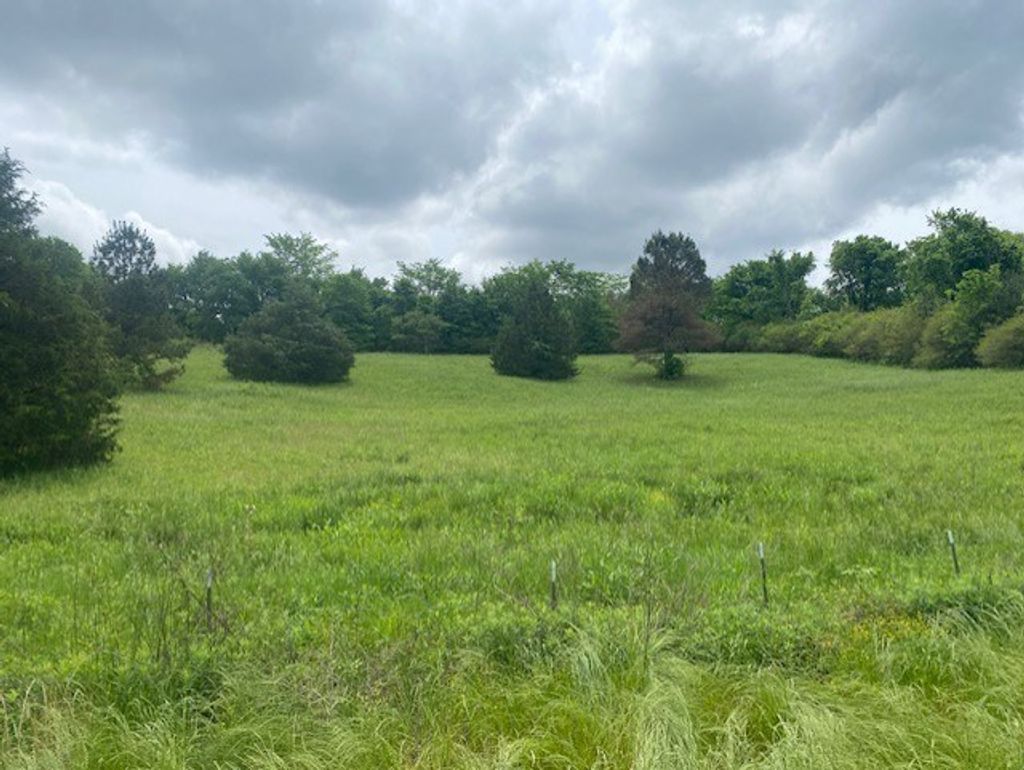 Photo of 0 Peyton Road, COLDWATER, MS 38618 (MLS # 167334)