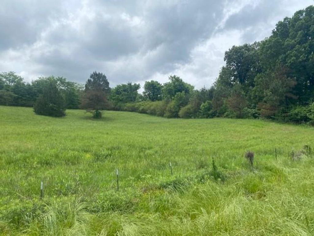 Photo of 0 Peyton Road, COLDWATER, MS 38618 (MLS # 167334)