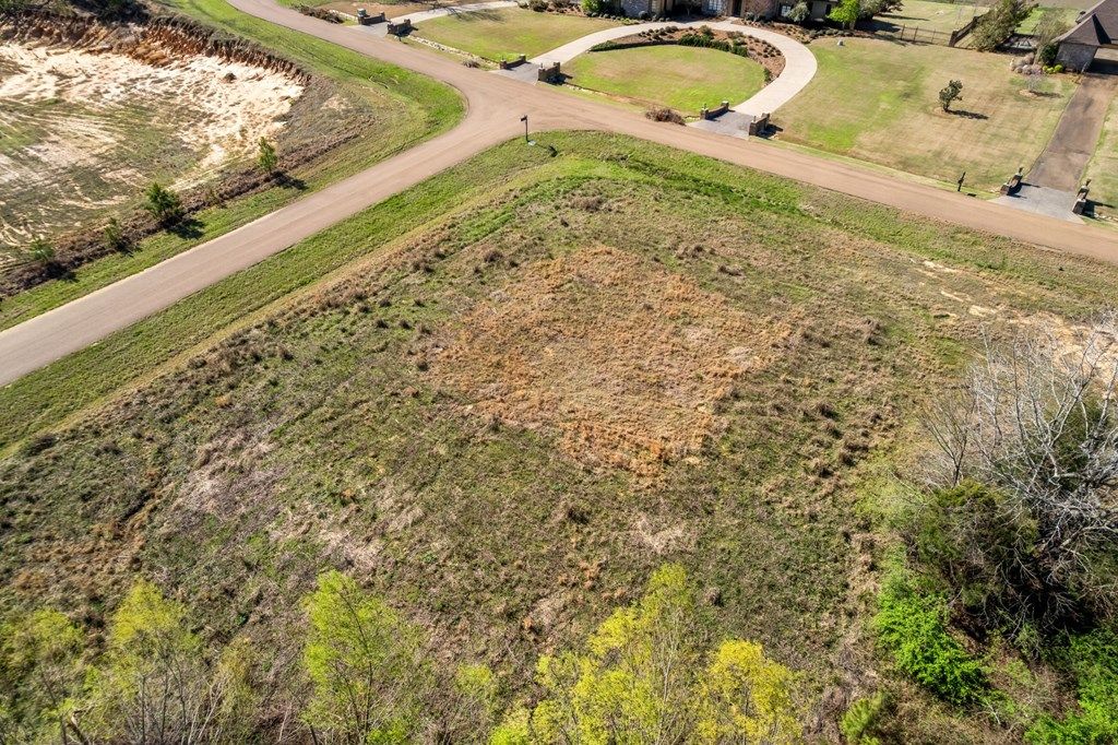 Photo of TBD Steeplechase Drive Lot 44, OXFORD, MS 38655 (MLS # 166896)