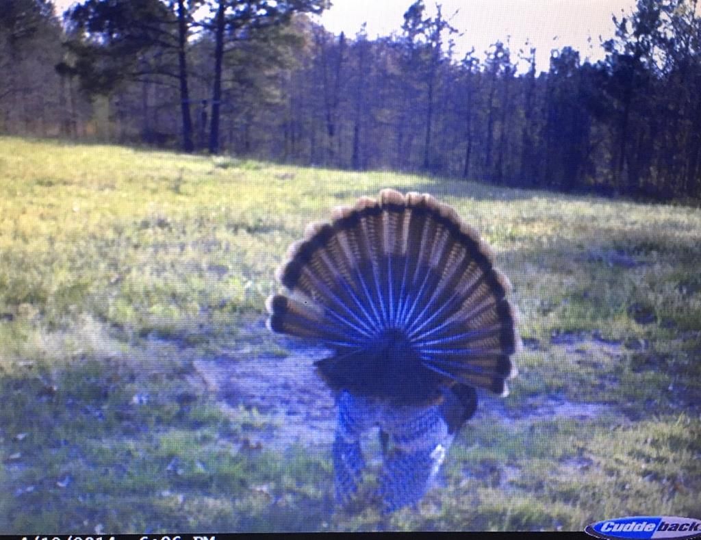 Photo of 3278 Hwy 310, WATERFORD, MS 38685 (MLS # 162115)