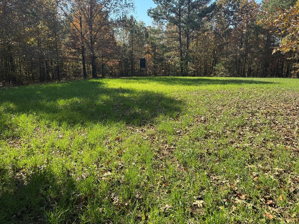 Photo of 3278 Hwy 310, WATERFORD, MS 38685 (MLS # 162115)