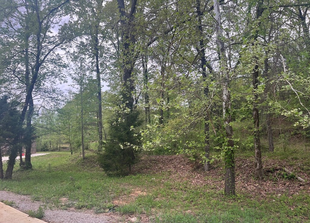 Photo of OXFORD, MS 38655 (MLS # 168605)