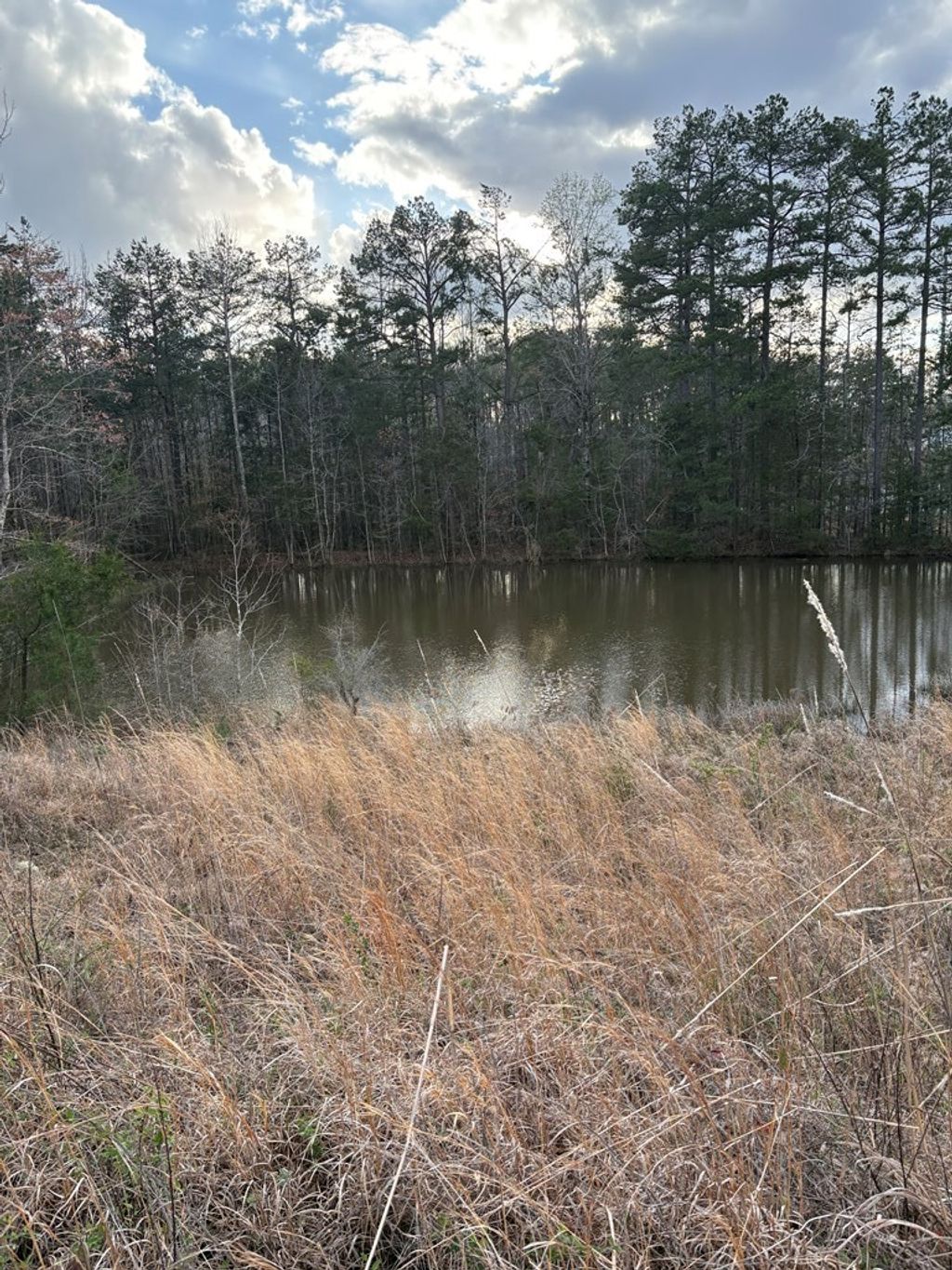 Photo of N/A Hwy 9, BLUE SPRINGS, MS 38828 (MLS # 166941)