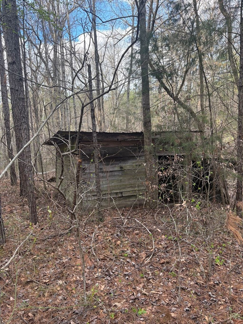 Photo of N/A Hwy 9, BLUE SPRINGS, MS 38828 (MLS # 166941)