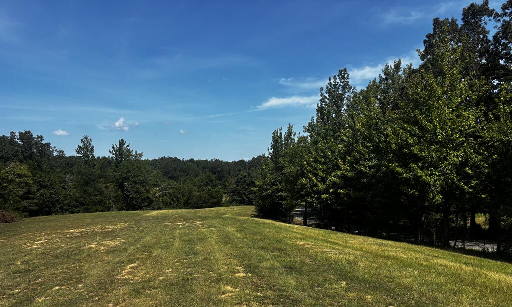 Photo of SARDIS, MS 38666 (MLS # 168230)