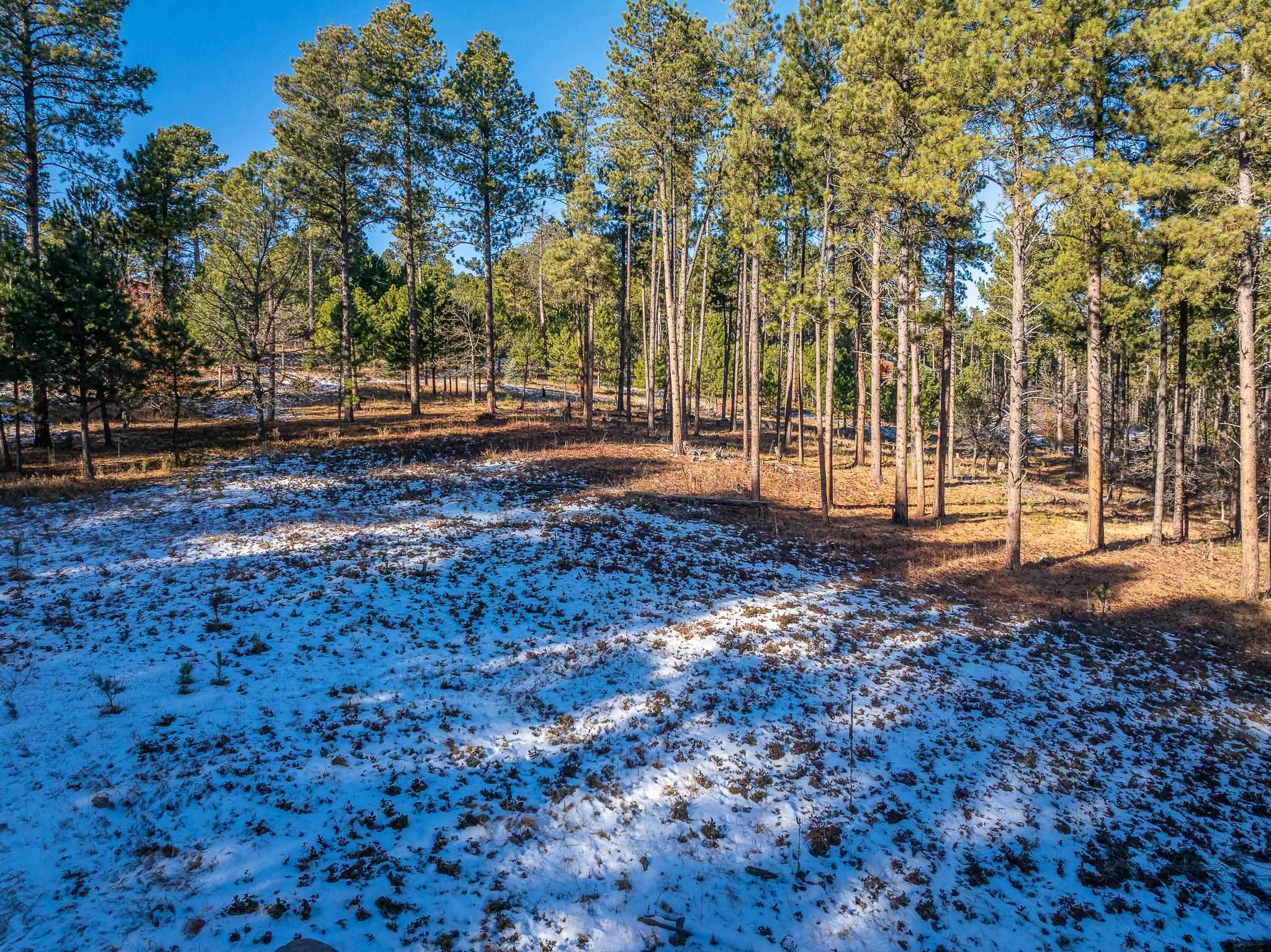 Sturgis, South Dakota 57785, United States, ,Land,Active,103820