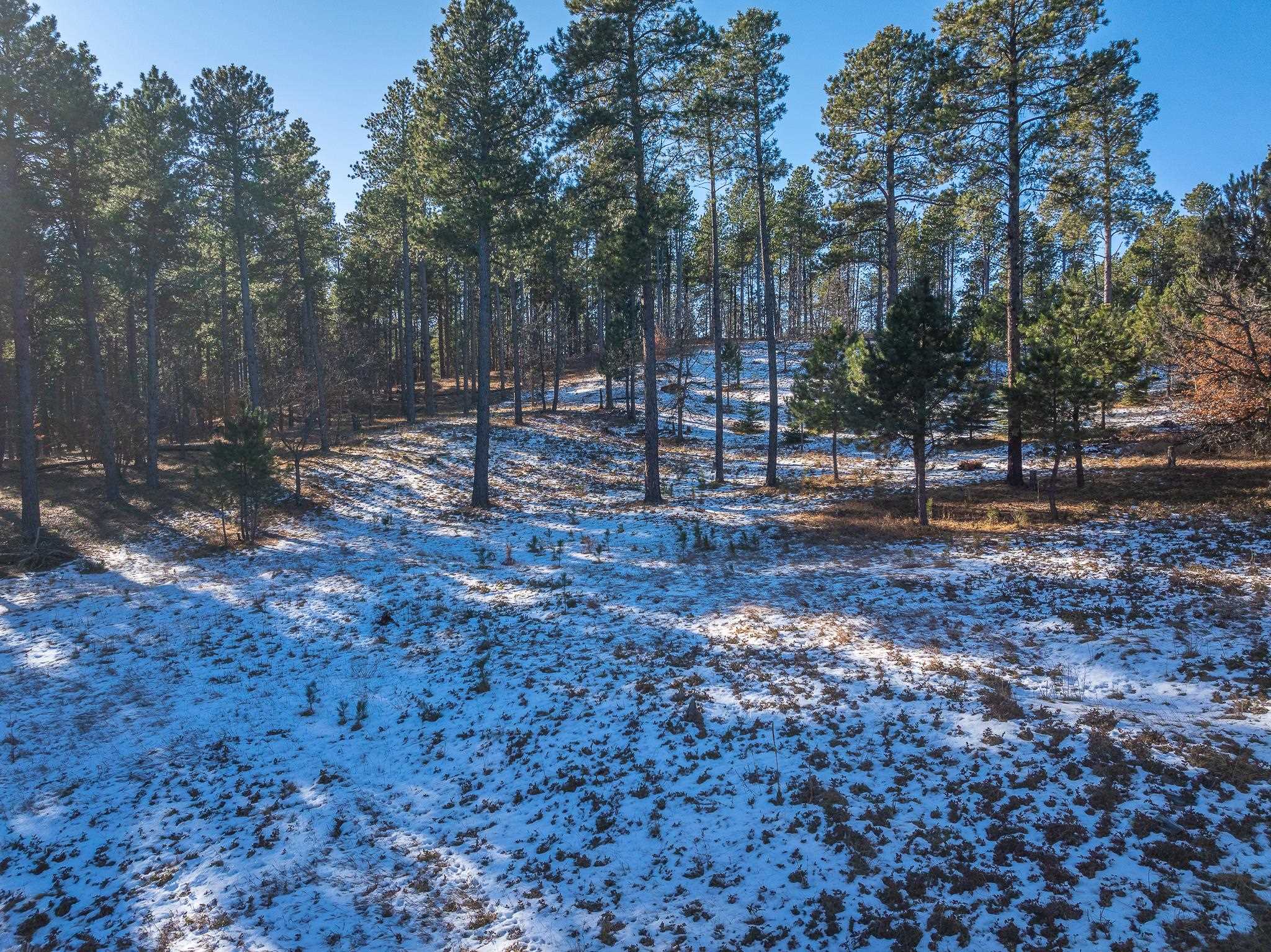 Sturgis, South Dakota 57785, United States, ,Land,Active,103820