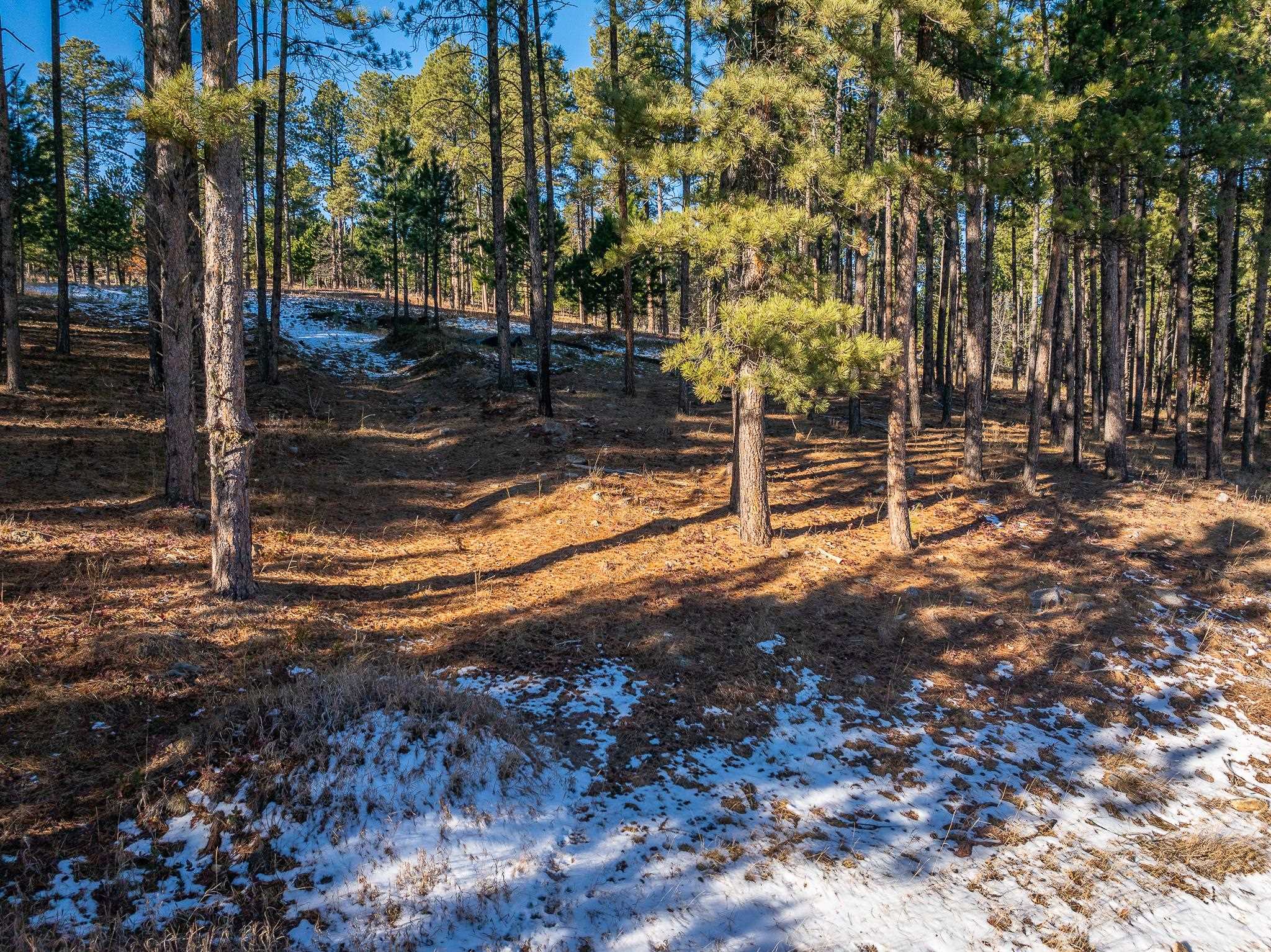 Sturgis, South Dakota 57785, United States, ,Land,Active,103820