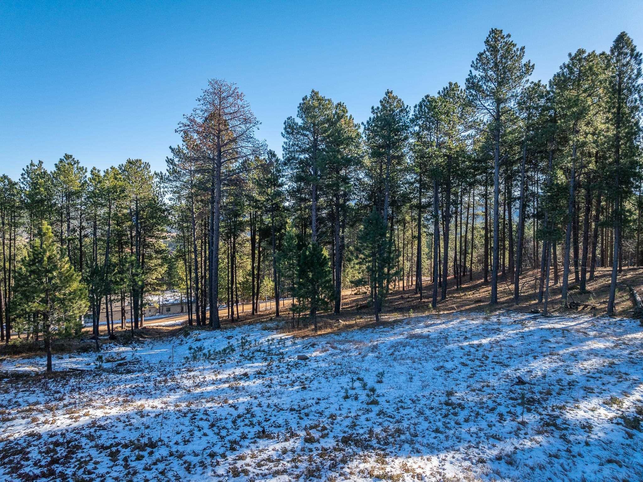 Sturgis, South Dakota 57785, United States, ,Land,Active,103820