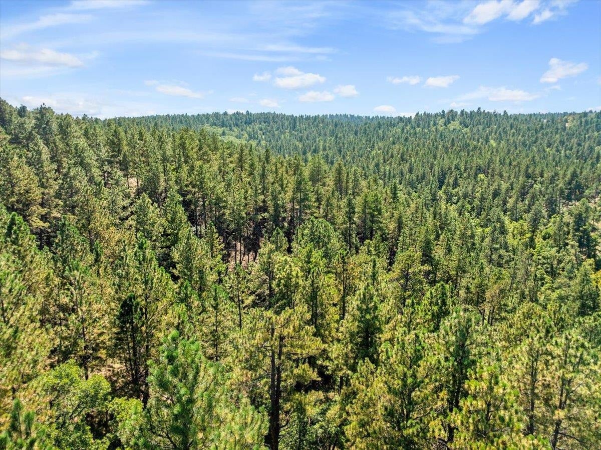 Photo 1 of 16 — Lot 13 Oak Drive, Whitewood, SD 57793