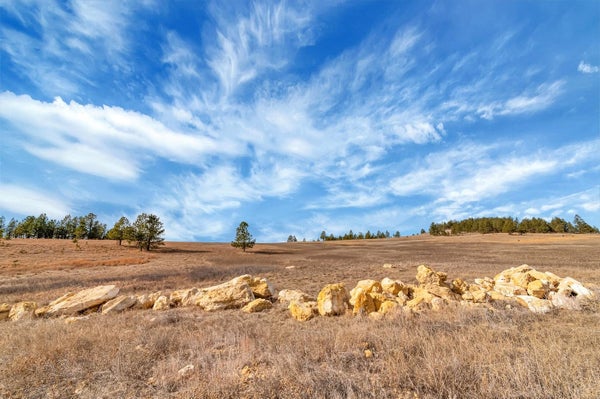 LOT 10 LONESOME DOVE STREET, CUSTER, SD 57730 - Image 5ff9fdc2eac5db693ff23df7b6fe7ea6/3478184235
