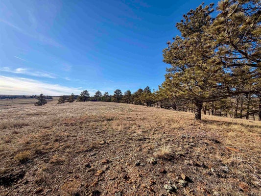 ROCKY FORD RD, EDGEMONT, SD 57735 - Image 80e76ca9cc0a66d4ff4daf3f256a3af7/1433508489