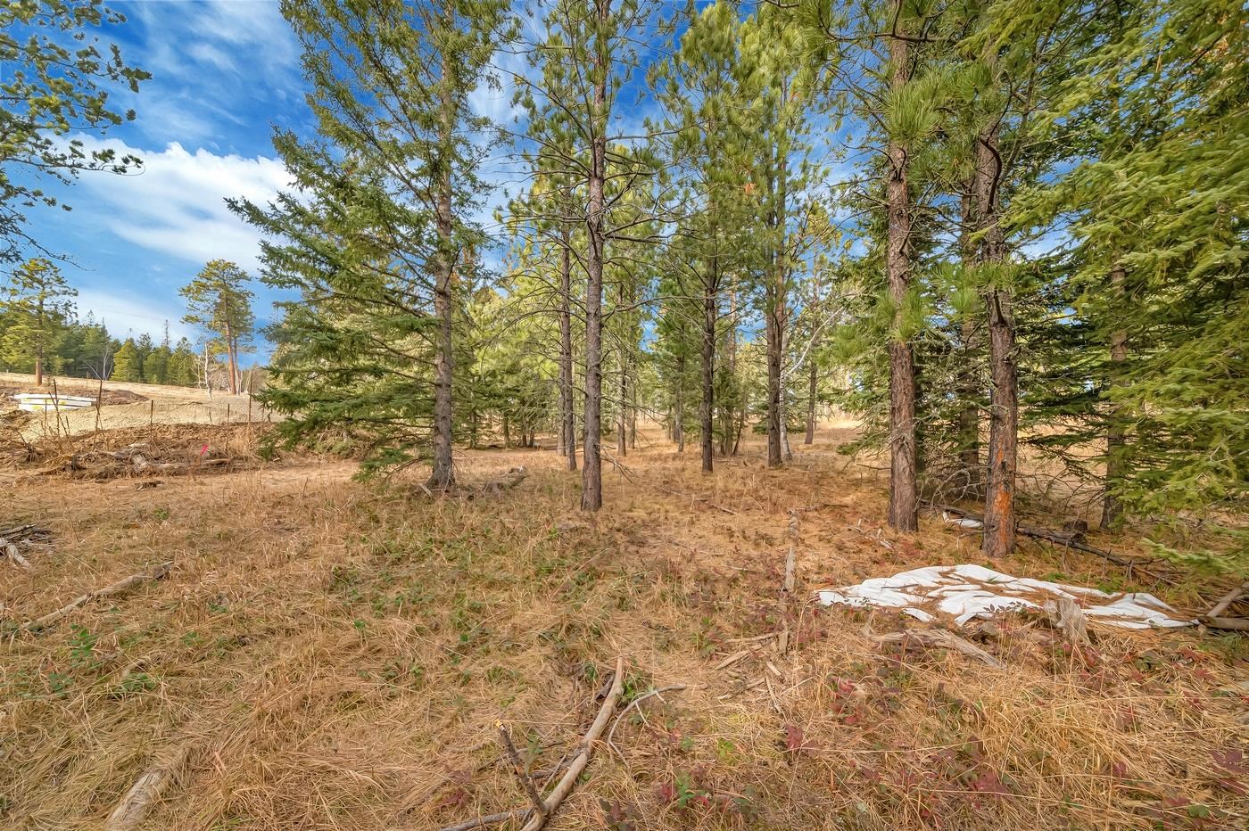 TBD Westwind Ct. - Photo 4