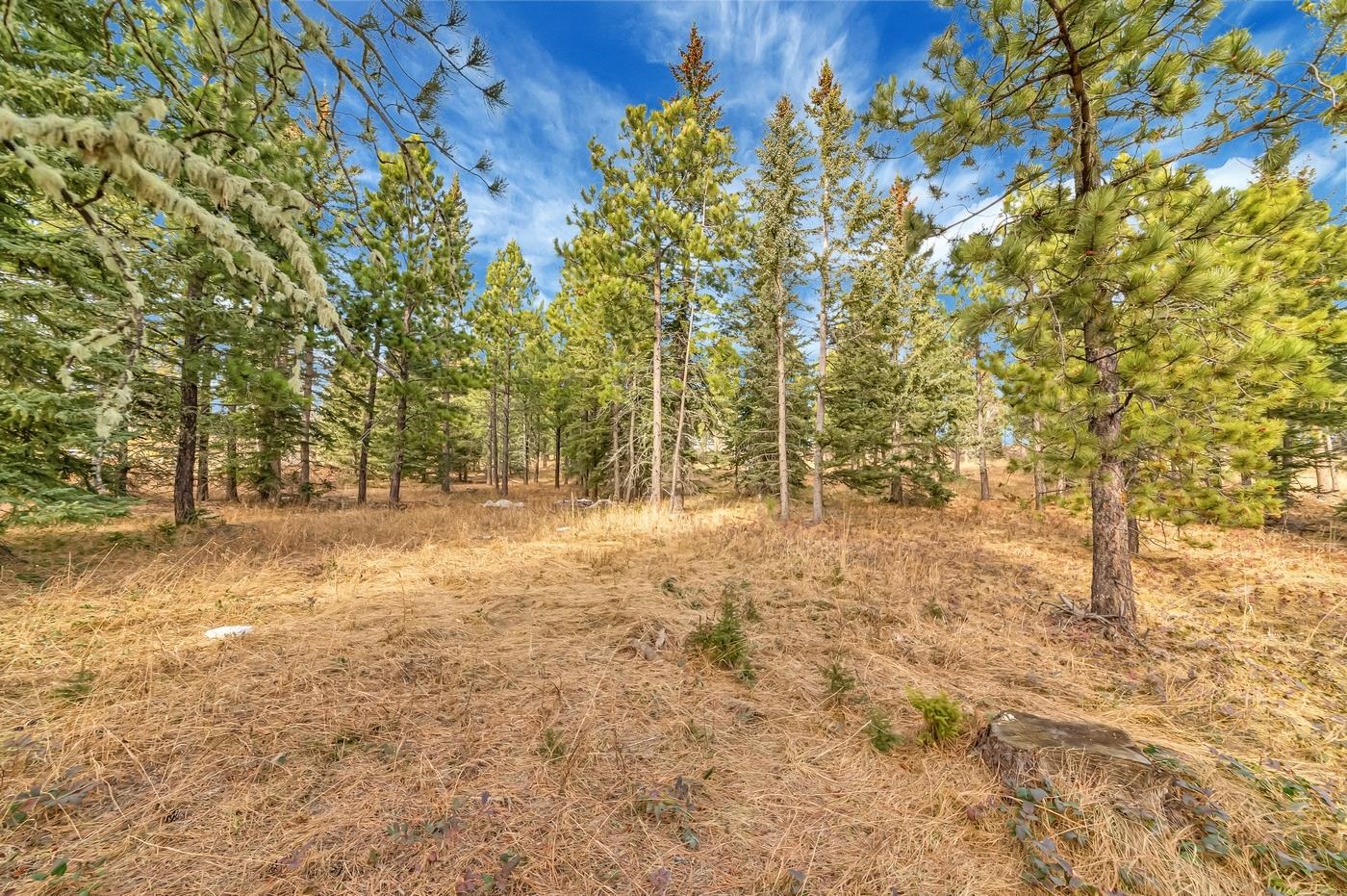 TBD Westwind Ct. - Photo 3