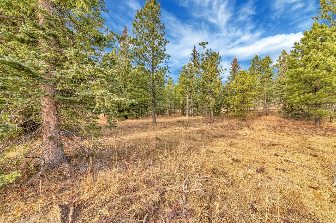 TBD Westwind Ct. - Photo 2