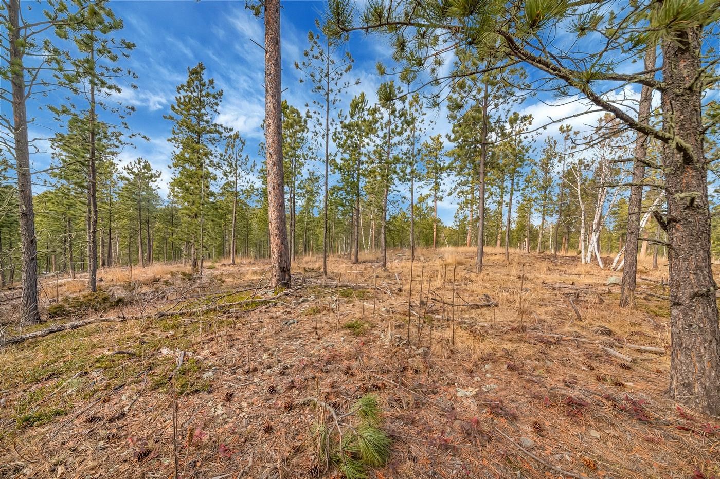 TBD Lofty Pines Ct - Photo 4