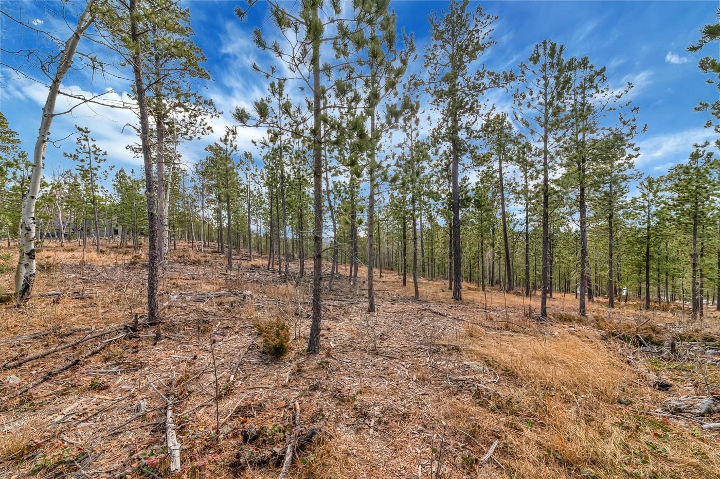 TBD Lofty Pines Ct - Photo 3