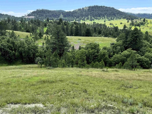 107 RODEO DR, HULETT, WY 82720 - Image b6a056ef142c98d36bfb180a3cc4a8d2/3989005347