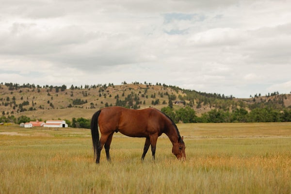 ROBINSON RD, BELLE FOURCHE, SD 57717 - Image ddd0f1731733722f611aa4e809dfee4b/3349222365