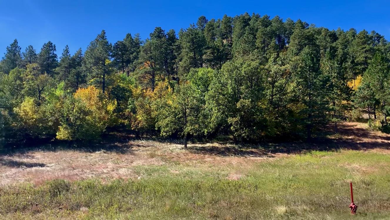 Photo 1 of 20 — 1135 Woodland Drive, Spearfish, SD 57783