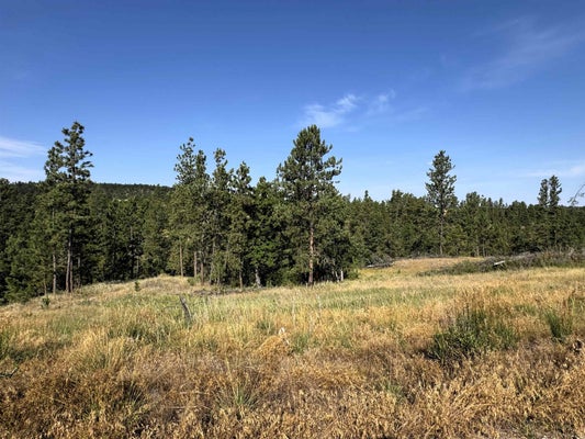 BEAR LODGE RD, HULETT, WY 82720 - Image fd036641a341637cf87bb95bb02bbad5/2233299227