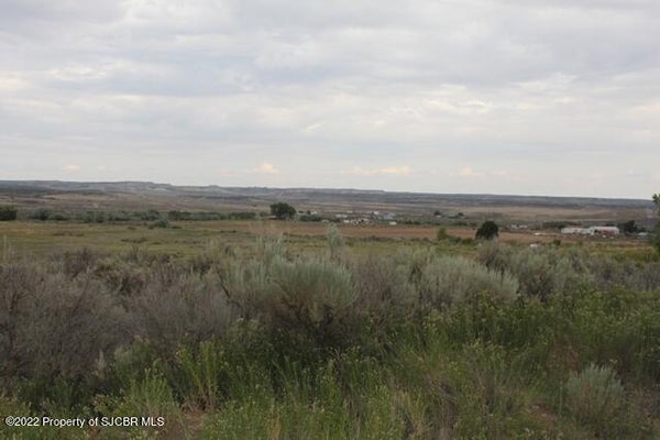 XXX ROAD 1300, LA PLATA, NM 87418 - Image 1a0c6bd44ebe5a5ca44ae3f5e6c1a9f9/28854809