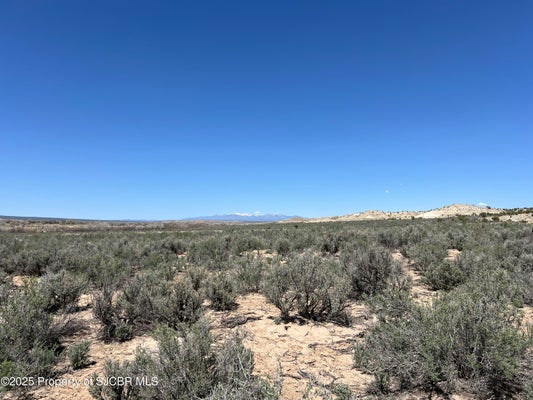 ADDRESS PRIVATE, LA PLATA, NM 87418 - Image 5fbacdb9d2b1b951e338e60ac6cc3b4a/3902829174