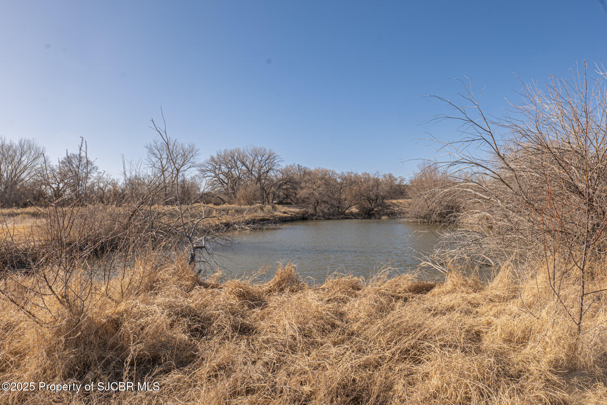 136 ROAD 5005 - Photo 3