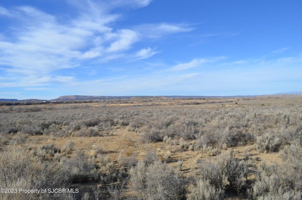 XXX ROAD 1500, LA PLATA, NM 87418 - Image f01ea9dbe7b892a15f6ba7d20fcc65ec/1946899199