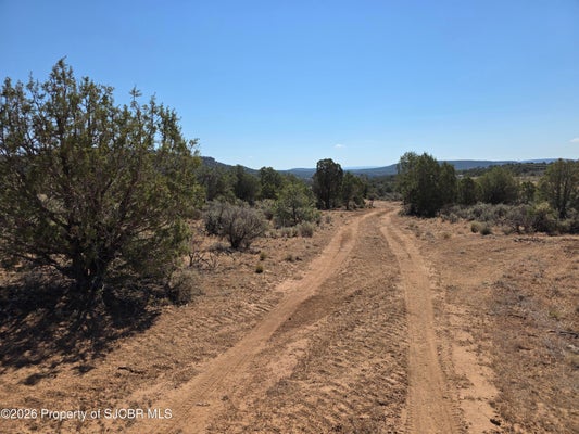 16 ROAD 40509, NAVAJO DAM, NM 87419 - Image a3e7c586e49f84f77a92b2fa1ebf6f84/2819649231