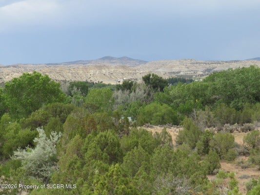 ADDRESS PRIVATE, AZTEC, NM 87410 - Image c0c5f9de00a01cd6cd0fc40ae8c0b4dc/3743559058