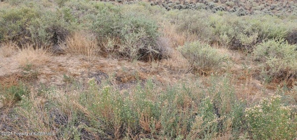 L 11 B 2 ROAD 1420, LA PLATA, NM 87418 - Image c0d090e7ceedbdf51b689d0b4ce0e5c7/239325582