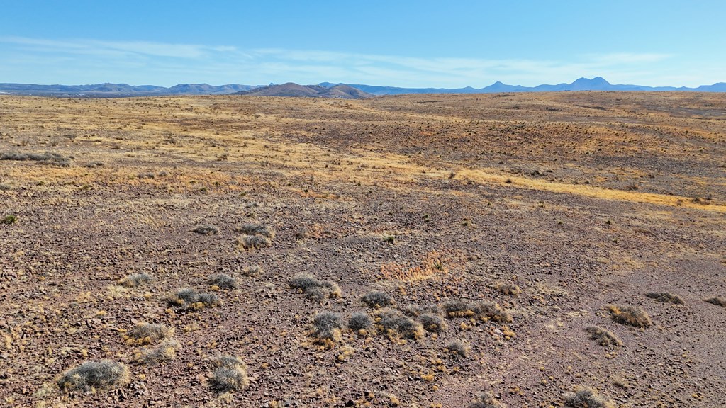 3190 Kimball Lane, Alpine, Texas image 8