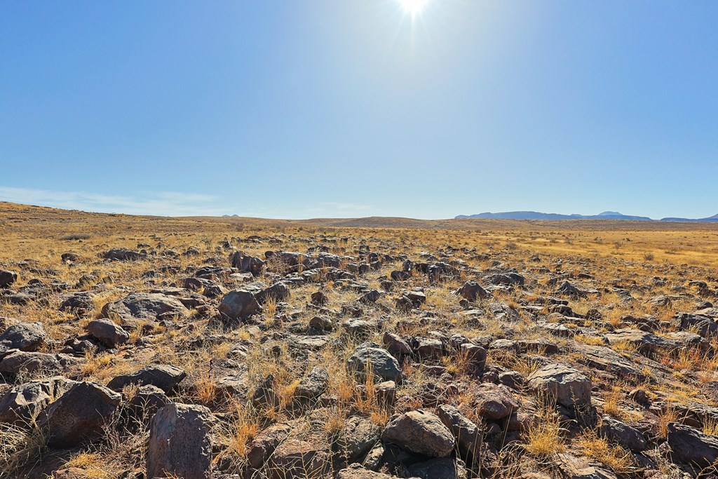 3190 Kimball Lane, Alpine, Texas image 11