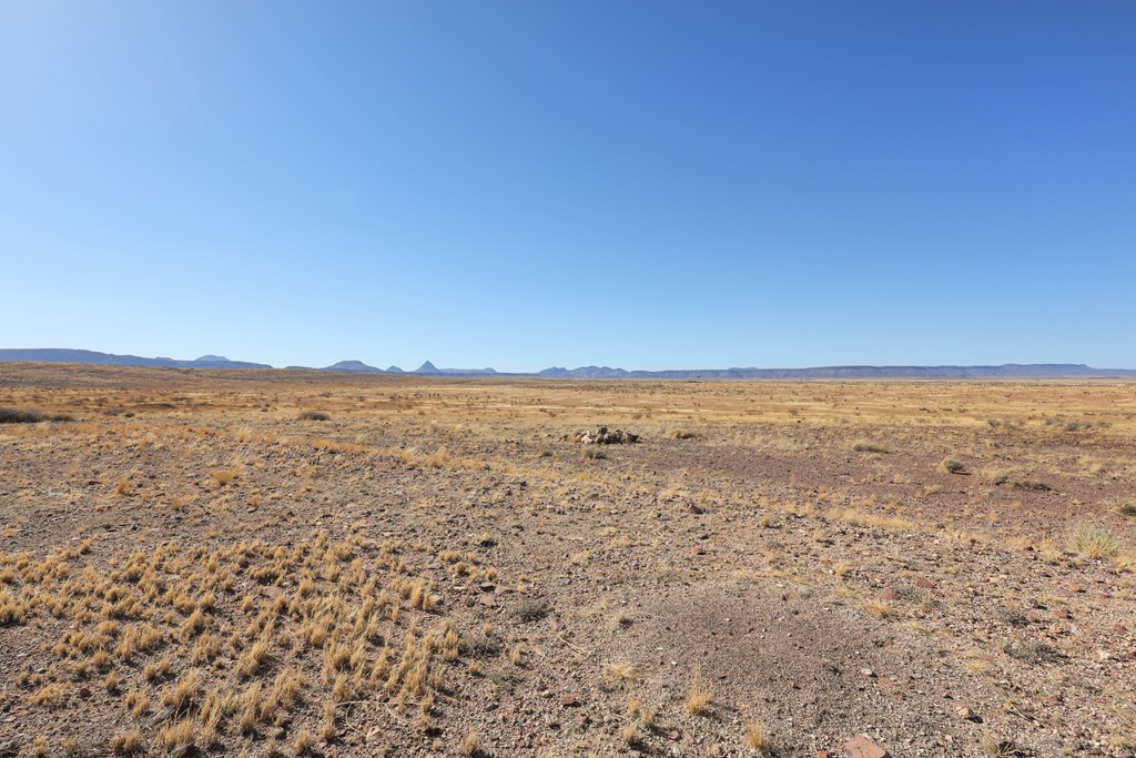 3190 Kimball Lane, Alpine, Texas image 10