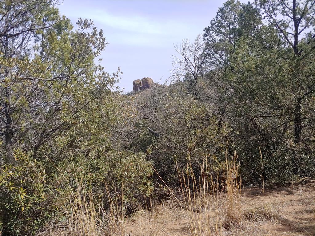 316 Cochise Canyon, Fort Davis, Texas image 28