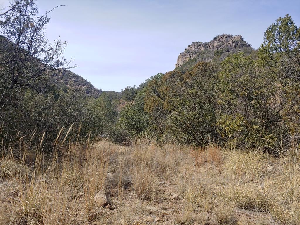 316 Cochise Canyon, Fort Davis, Texas image 40