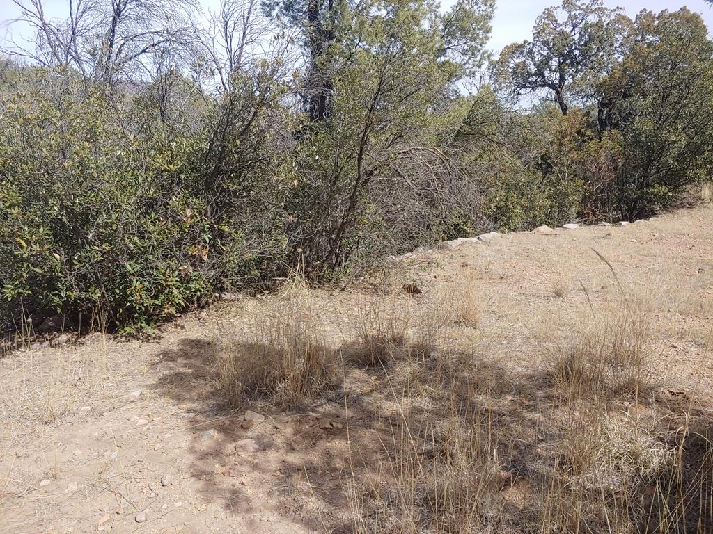 316 Cochise Canyon, Fort Davis, Texas image 25