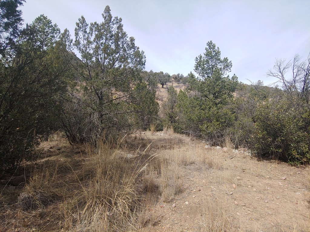 316 Cochise Canyon, Fort Davis, Texas image 11