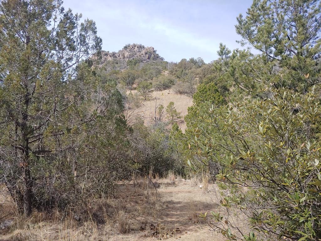 316 Cochise Canyon, Fort Davis, Texas image 33