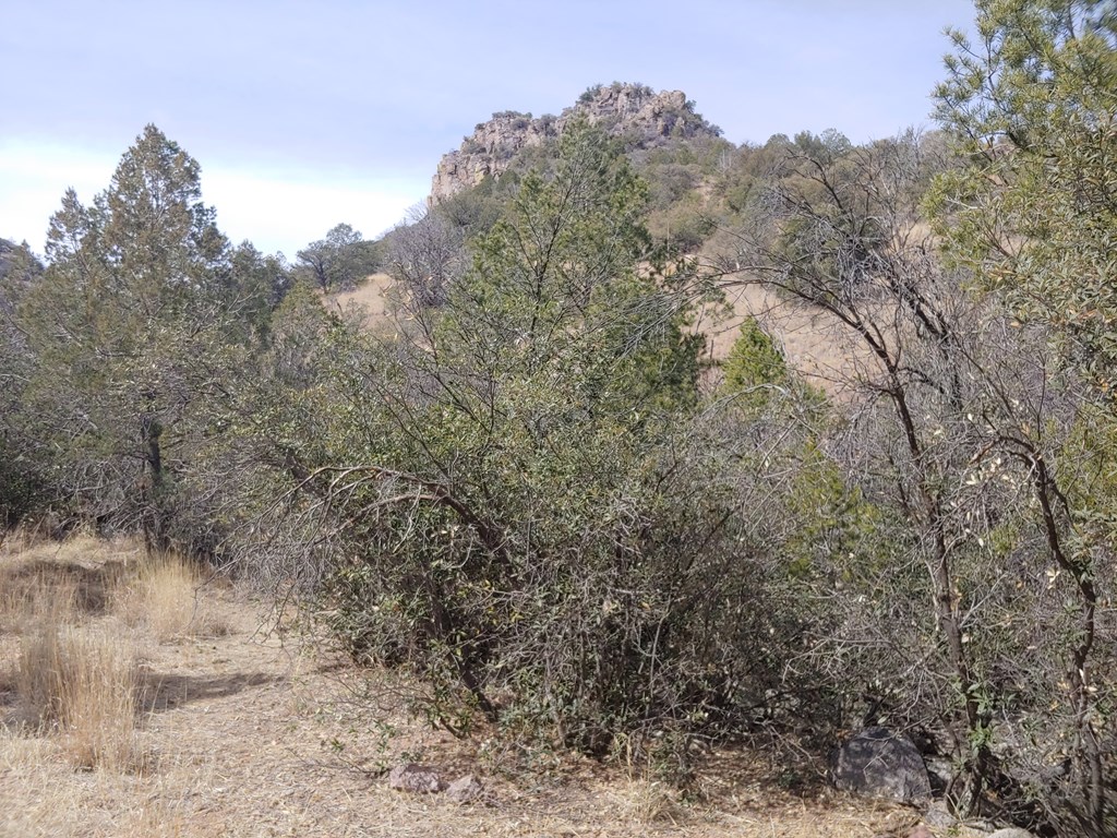 316 Cochise Canyon, Fort Davis, Texas image 13