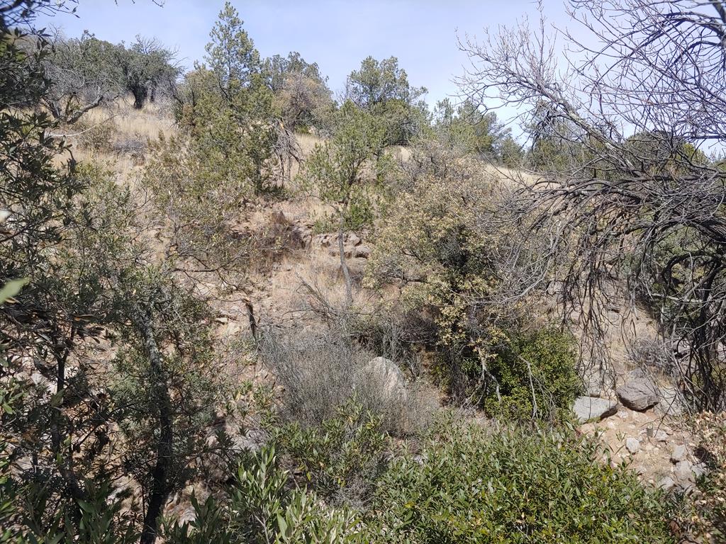 316 Cochise Canyon, Fort Davis, Texas image 29