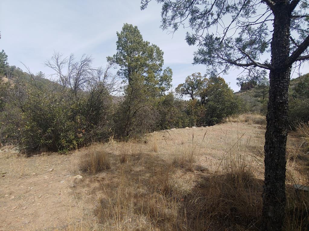 316 Cochise Canyon, Fort Davis, Texas image 43