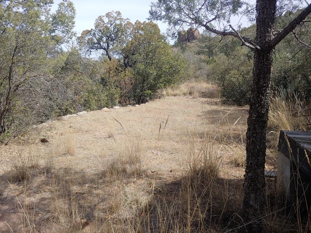 316 Cochise Canyon, Fort Davis, Texas image 24