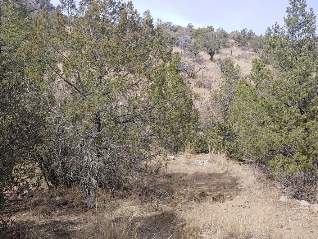 316 Cochise Canyon, Fort Davis, Texas image 8