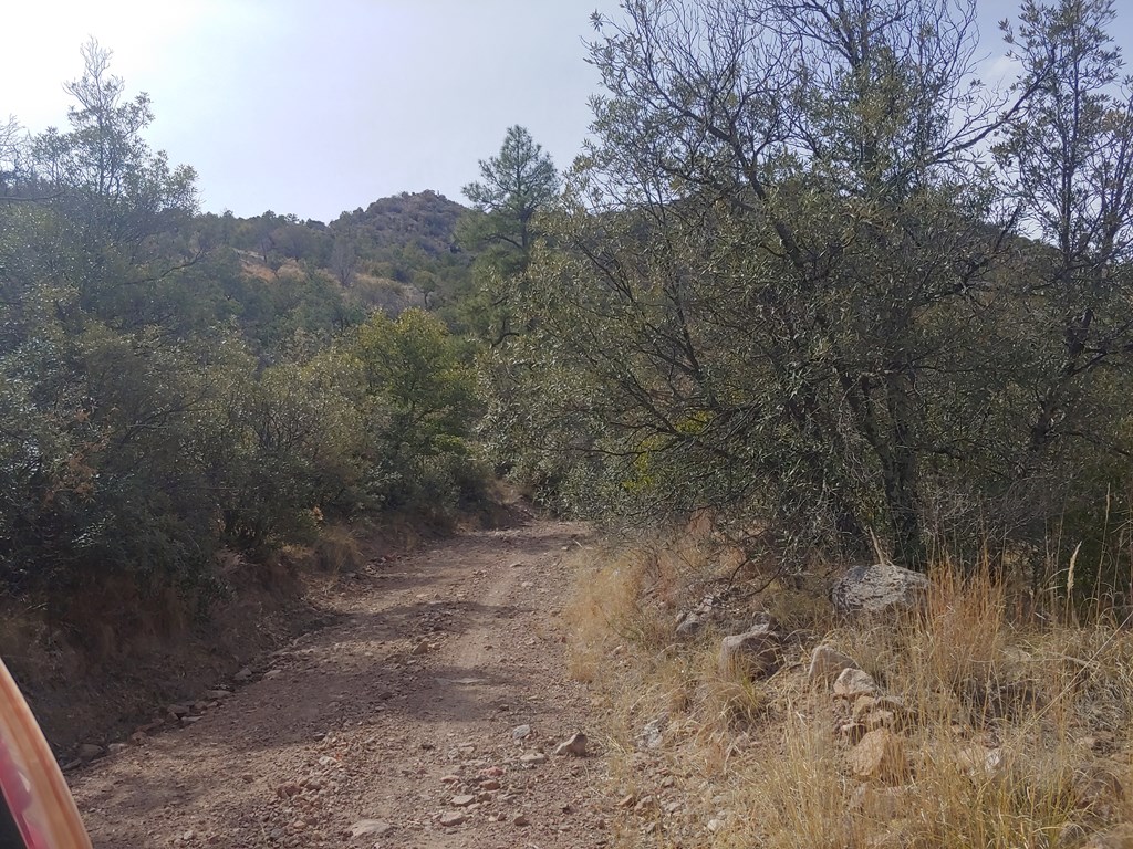 316 Cochise Canyon, Fort Davis, Texas image 5