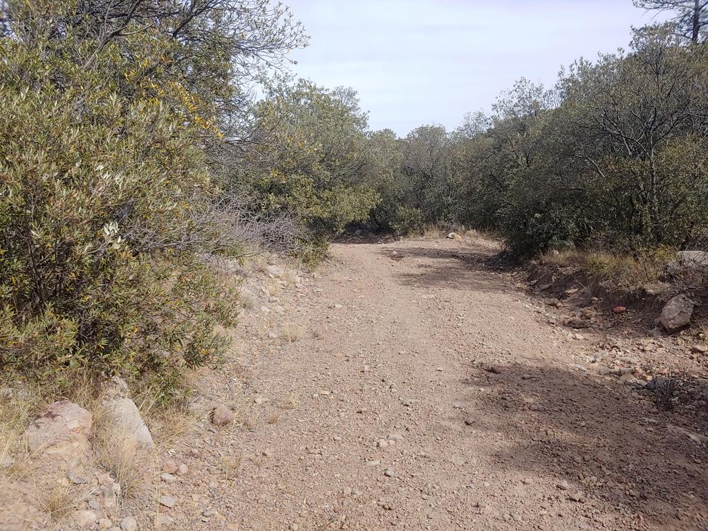 316 Cochise Canyon, Fort Davis, Texas image 39