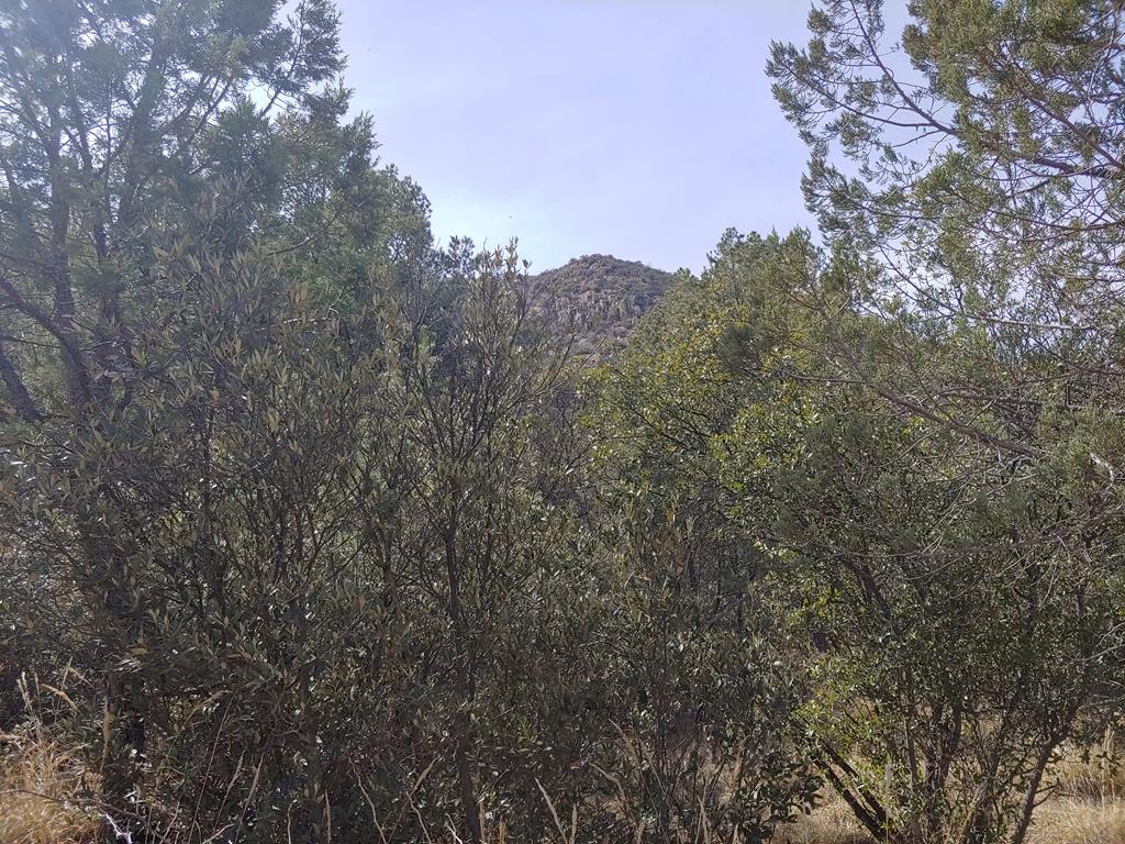 316 Cochise Canyon, Fort Davis, Texas image 21